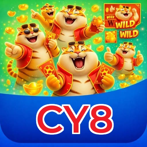 Níveis do programa VIP da CY8